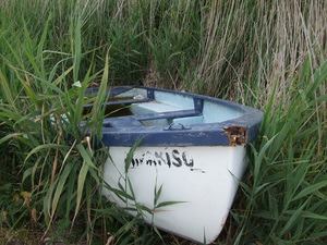 Sans titre, 2010