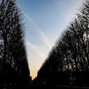 Jardin du Luxembourg, Paris, 2011